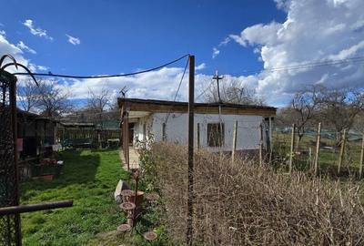 Casă cu 3 camere cu Teren 2876 Mp în Central - 7