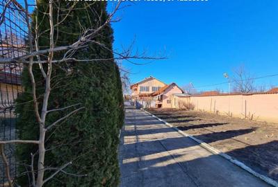 Casa D+P+1, situata in Curtisoara - 12