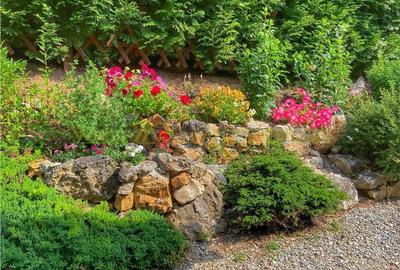 Raritate| Teren intravilan de vis de 6 ha de vanzare in Pestera Brasov - 16