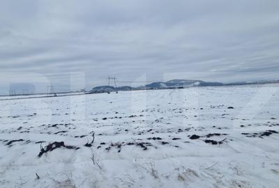 Teren extravilan arabil pretabil investitie casa sau afacere - 8