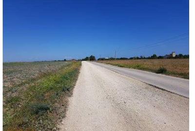 Teren  agricol extravilan 12.500 mp-- Comuna Corbu - jud. Constanta - 2