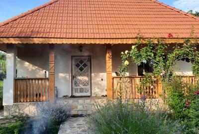 Casă cu 4 camere în Făget - 7