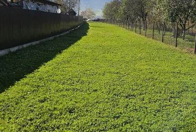 Casa de vanzare !!! - 3