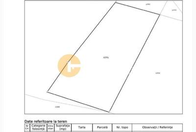 Teren Construcții de 2800 mp, în Tomești - 3