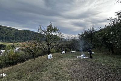 Teren de 9000 mp, în Salva - 5