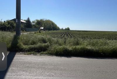 Teren Construcții intravilan de 1000 mp, în Sărulești-Gară - 2
