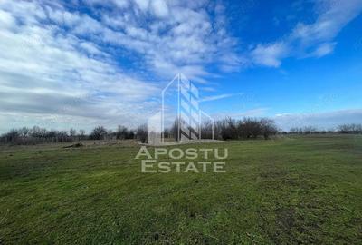 Spațiu comercial, în Gai - 3