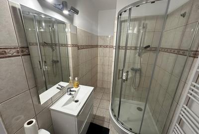 Apartament 110 mp,3 camere plus mansardă, 2 băi, curte în coproprietate, parcare - 3