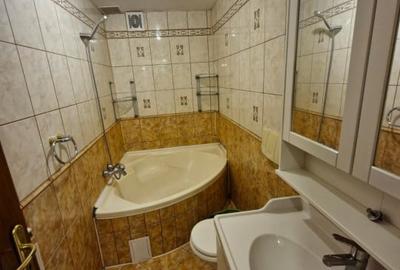 Apartament cu 3 camere decomandat, mobilat în Doamna Ghica - 8