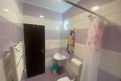 Garsonieră decomandată în Băile Felix - 6