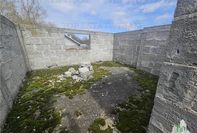 Teren 2400mp stradal + casa batraneasca in Mihai Voda Giurgiu