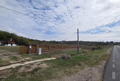 Casă cu 3 camere cu Teren 2500 Mp în Găiseanca - 8