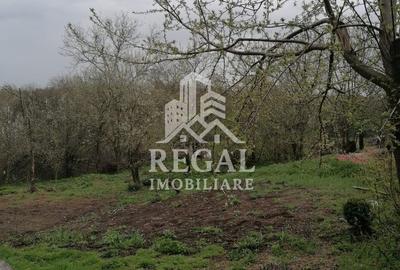 Casă cu 2 camere cu Teren 17600 Mp în Lelese - 3