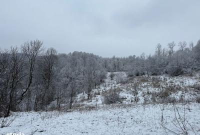 Teren de 3824 mp, în Provița de Jos - 9