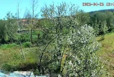 Casă cu Teren 2440 Mp în Peștera - 3