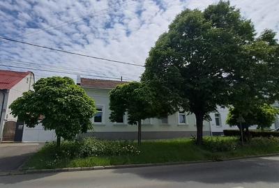 Casă cu 10 camere în Mehala