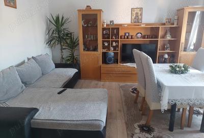 Casă cu Teren 600 Mp în Slimnic - 7