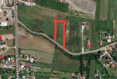 Spațiu comercial, în Priseaca - 4