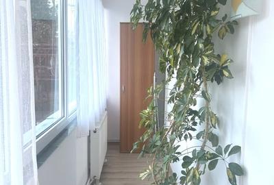 Garsonieră decomandată în Astra - 3