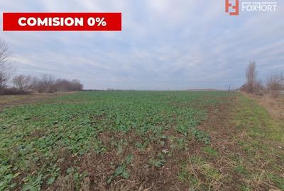 COMISION 0% Teren extravilan 20.000 mp la sosea in Sag - 5