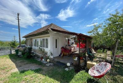 Casa Mihaesti 5 camere | 700MP Teren - 5