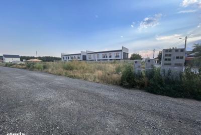 Spațiu comercial, în Brănești - 5
