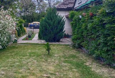 Casă cu 3 camere în Livada - 9