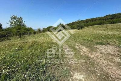 Teren Extravilan - 10'000 Mp - Valea Budacului (Bistrita) - 2