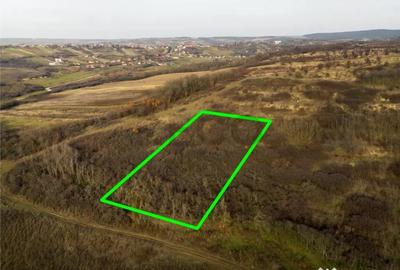 Teren în Uileacu de Munte - 5