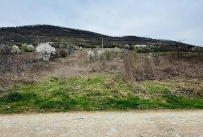 Teren de 6042 mp, în Berzasca - 6