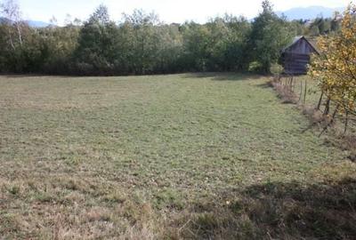 Spațiu comercial, în Drumul Carului - 5