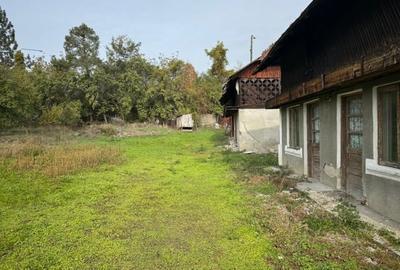 Teren Construcții intravilan de 2644 mp, în Viișoara - 5