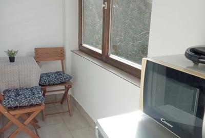 Apartament cu 1 camera de inchiriat in Manastur Apartament cu 1 camera de inchiriat in Manastur - 6