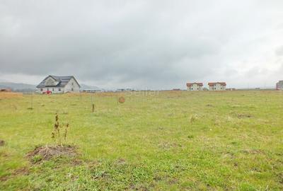 Teren Constructie Casa - 2