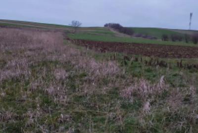 Teren de 4760 mp, în Ghercești - 2