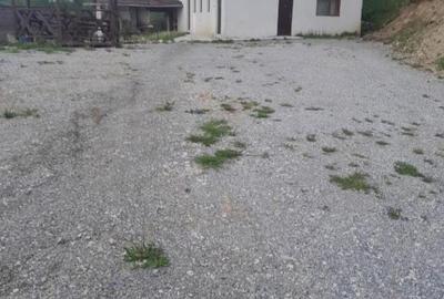 Pensiune in Ciocanesti judetul Suceava - 1