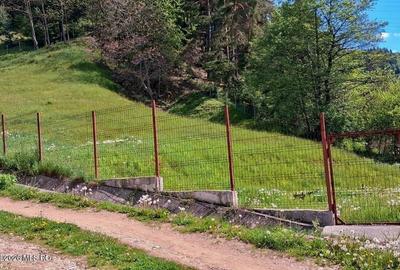 Teren Construcții intravilan de 1540 mp, în Lerești - 4