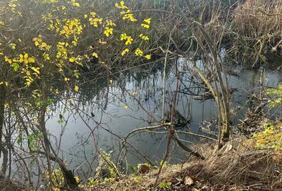 Casa in Ungaria Biharugra - 7