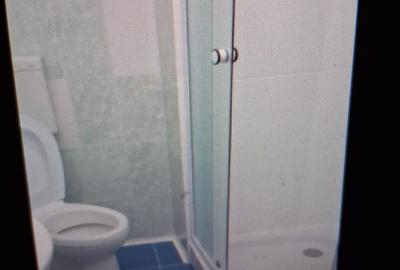 Garsoniera mobilata ,utilata renovata,libera imediat , - 10