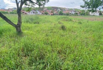 Teren de 1250 mp, în Central - 3