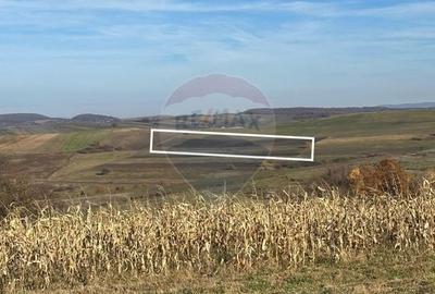 Teren agricol extravilan de 6446 mp, în Bogdand - 1