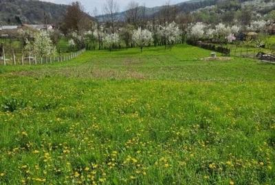 Teren vanzare in comuna Adunati - zona BREAZA - Prahova