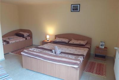 Casă cu 6 camere în Ocna Sibiului - 16