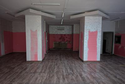 Spatiu Ultracentral zona Parcul Trandafirilor - Luceafarul - 9