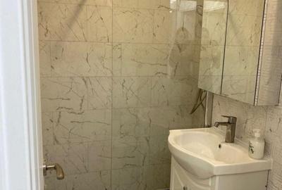 Apartament cu 2 camere semidecomandat în P-ța Victoriei - 9