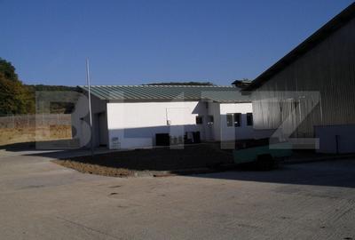 Hale si teren ,curte betonata , destinatii multiple - 12