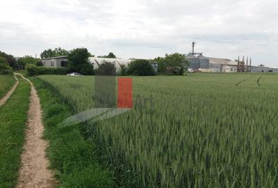 Buftea Teren cu iesire la lac - 5