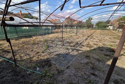 Casa cu gradina si solarii de legume - 18