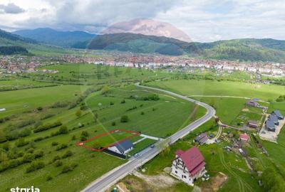 Teren de 1100 mp, în Tohănița - 19