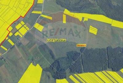 Teren cu parau | 50,000 mp | zona Caianu-Vama | la lizi... - 17